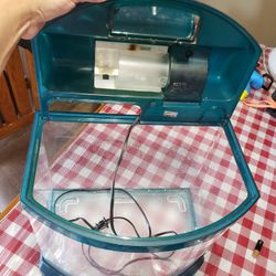 Fish Tank with rocks