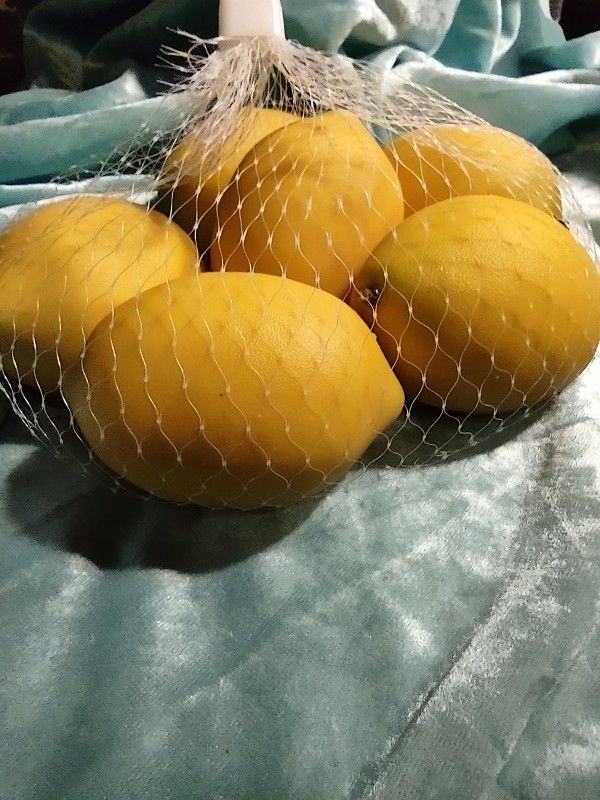 Way Fair Allen Grove False Realistic Lemons 6 In Bag