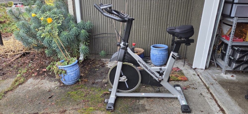 Yosuda Exercise Bike