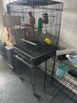 Bird Cage