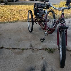 Merdian  Trike With A Brand New Predator
212 With Torque Converter