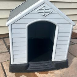 Dog House 