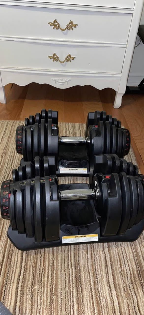 Bowflex 1090 SelectTech Dumbbells And Flybird Adjustable Bench