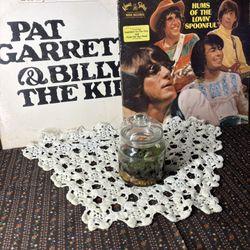 Terrarium:)🌿✨🕷️