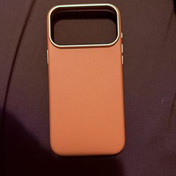 iPhone 17 Pro Max Case