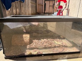 Reptile tank