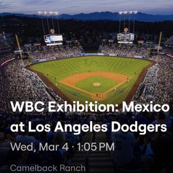 DODGERS SPRING TRAINING 2026 TICKETS 