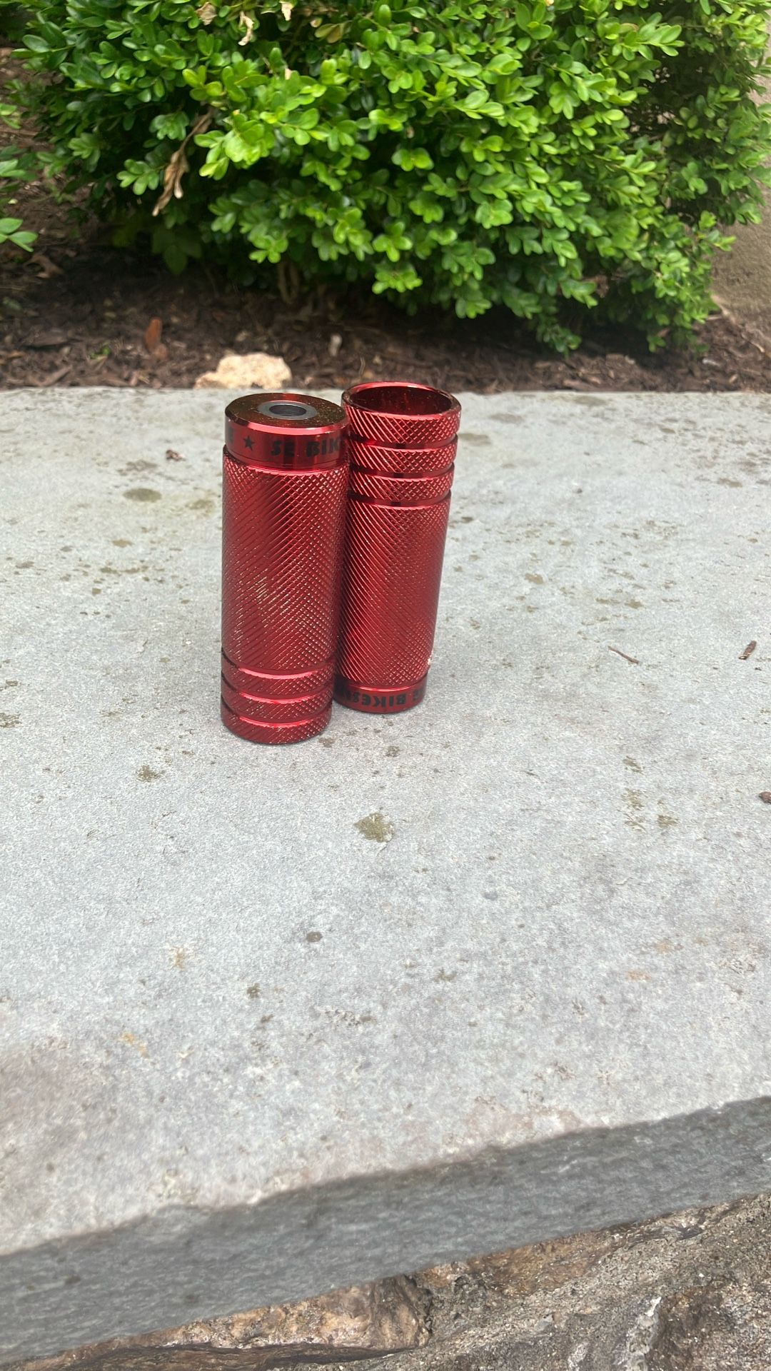 Sc Bike Pegs