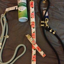 New dog necessities 50% off