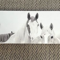 Horses Canvas Art Black In White