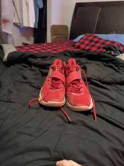 Adidas Basketball Shoes