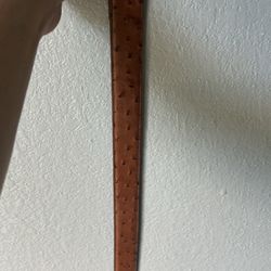 Sizzle 32 Snake Skin Boot Barn Belt Brand New