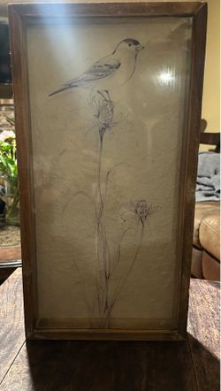 Creative Co-Op Susan Winget Bird Botanical Framed Wall Art.  Read description 1st