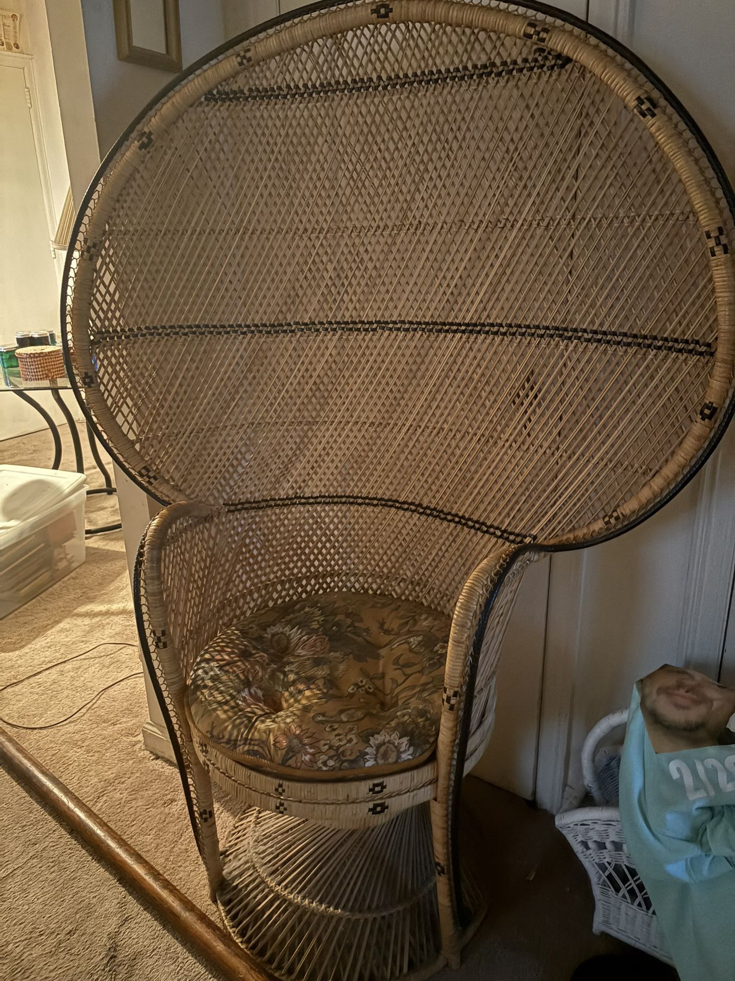 Vintage Peacock Chair