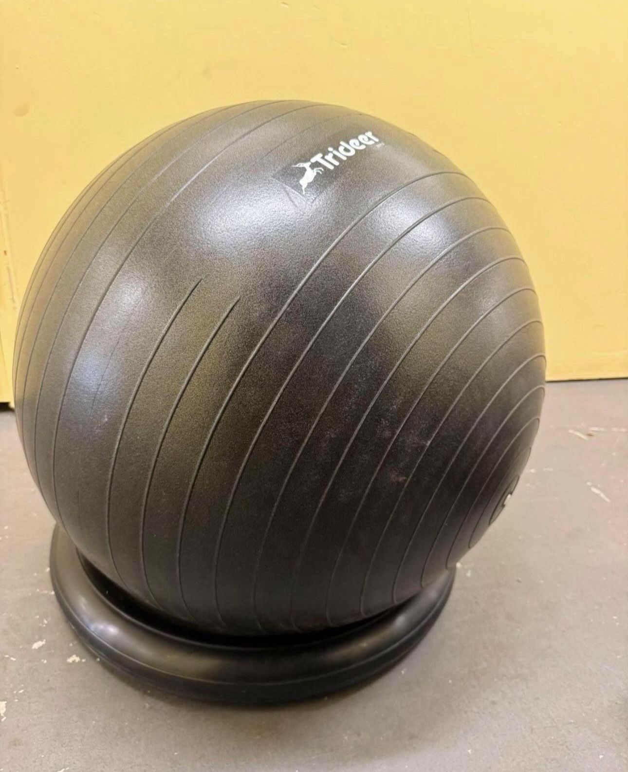 Large Trideer Exercise Ball with Holder