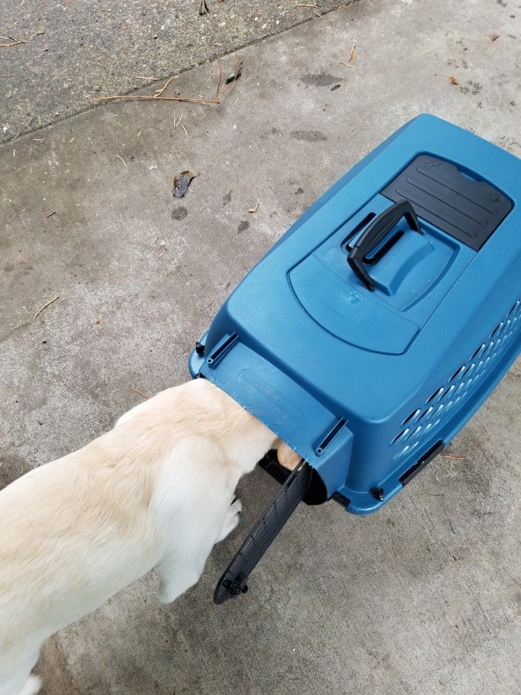Dog Crate X2