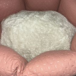 Pet Bed