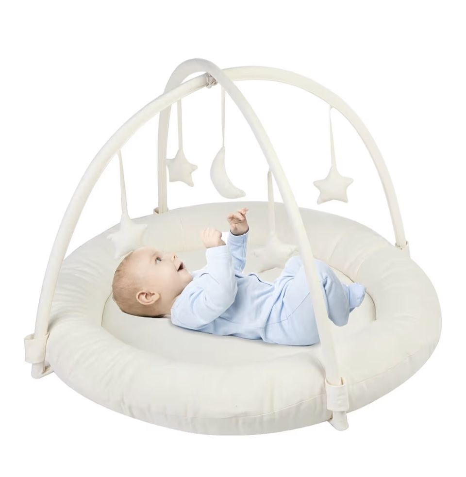 Nest Baby Activity Gym