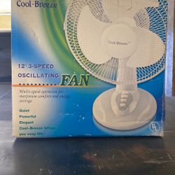 Fan 