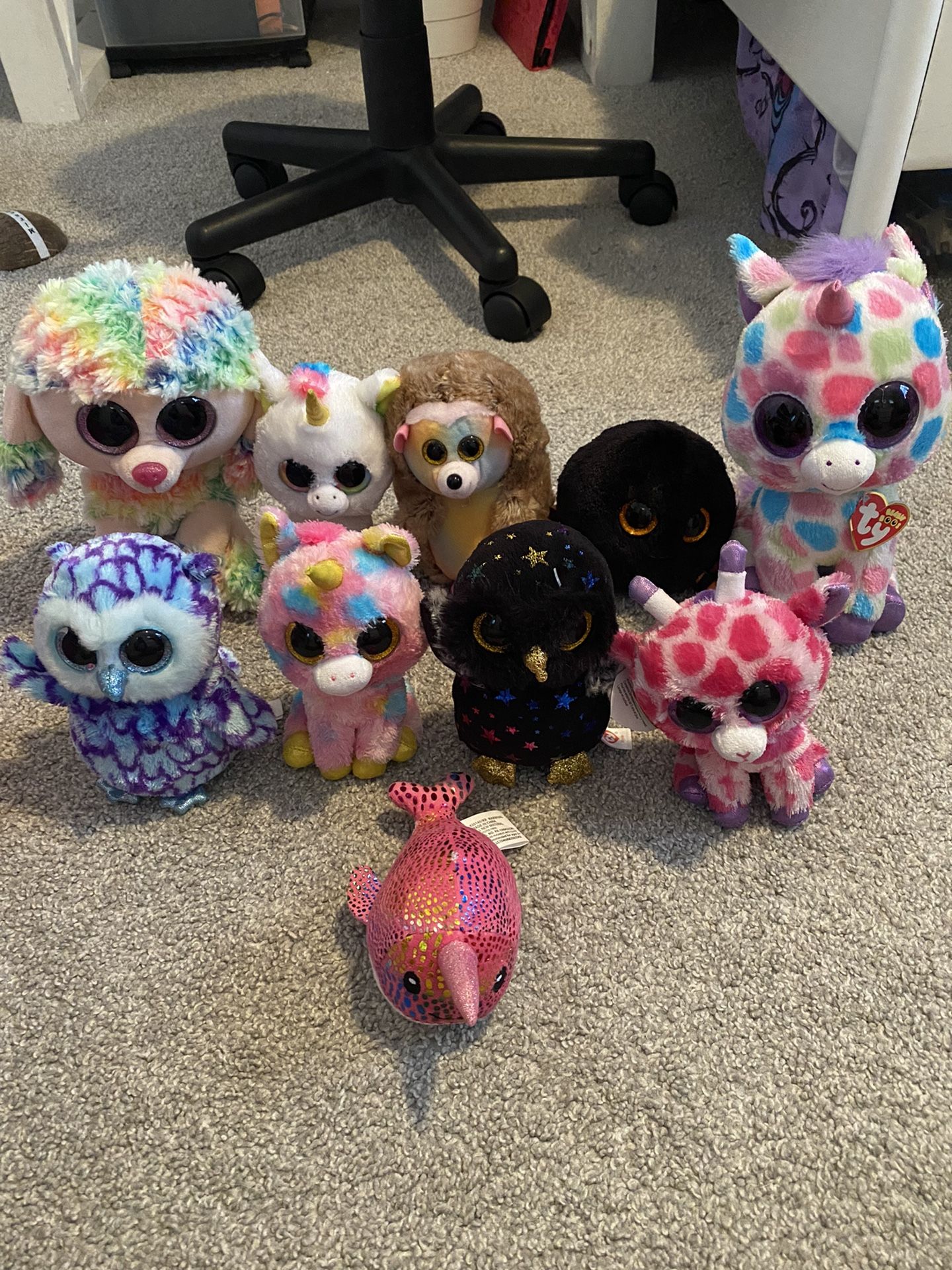 Beanie boo’s