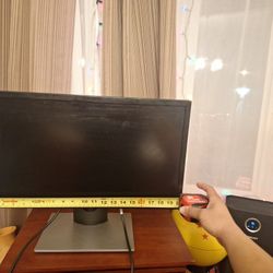 20x12 Computer Monitor