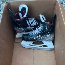 Bauer Ice Hockey Skates