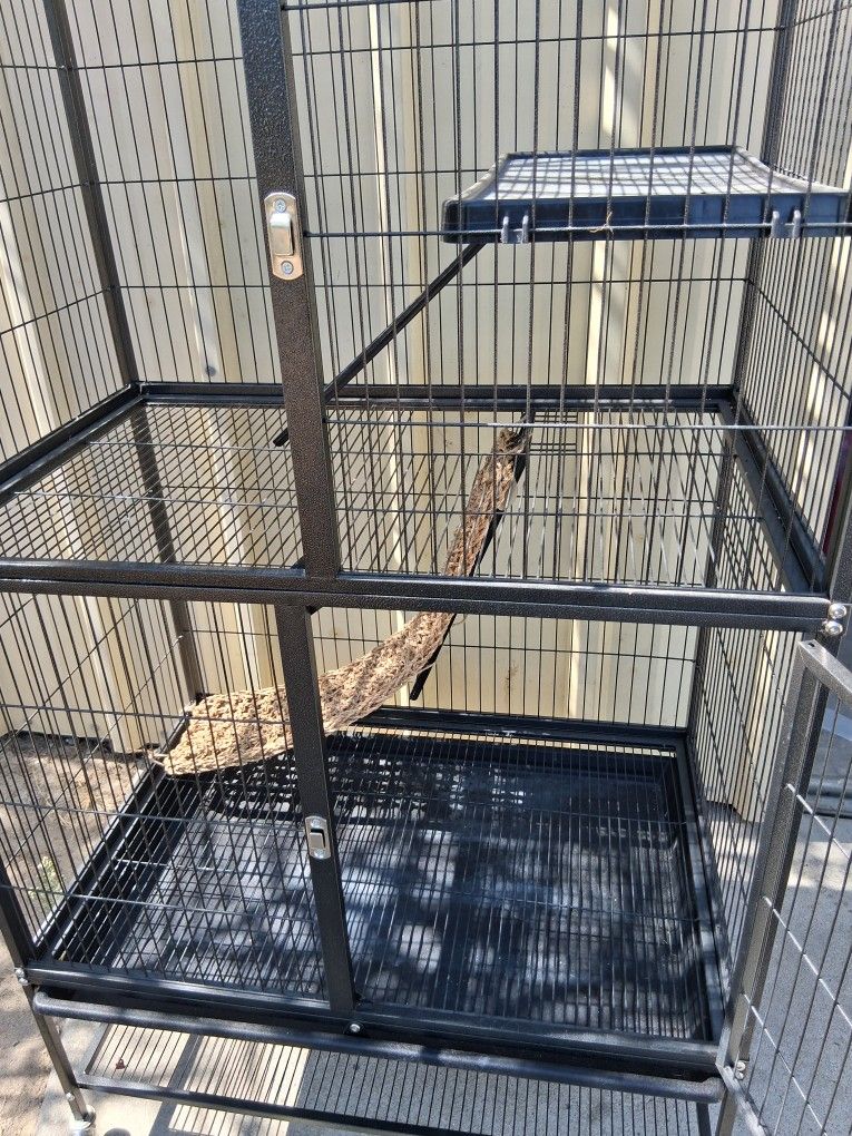 Cage For Sale  $50
