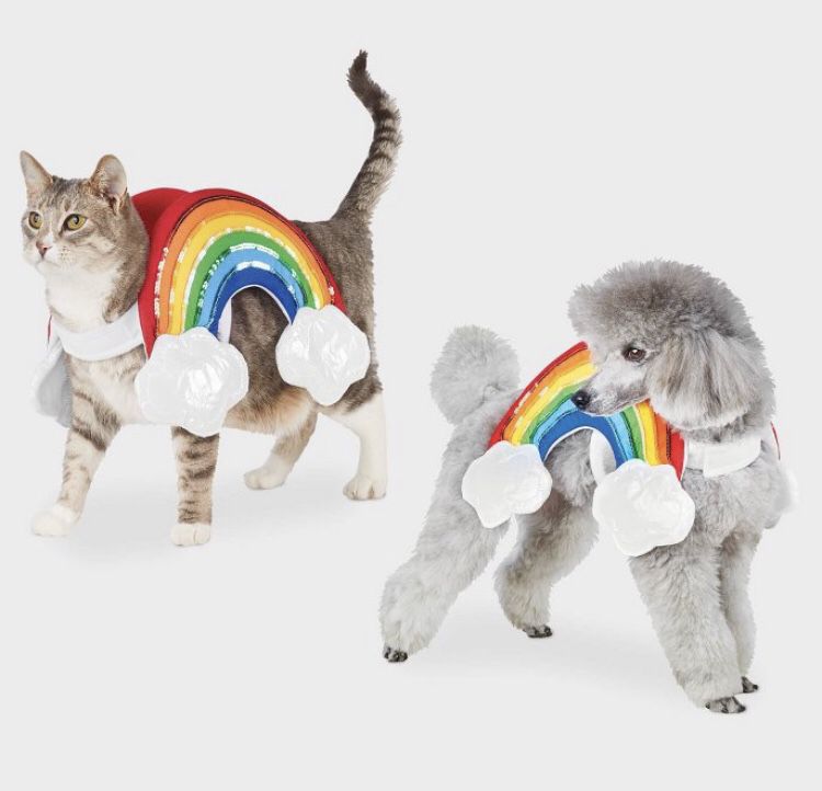 Rainbow Pet Costume Halloween Outfit Dog Cat Size Small