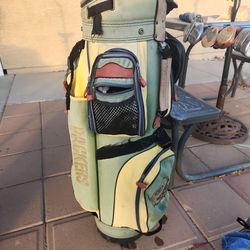 vintage old used green bay packers golf bag and mixed woods and irons clubs