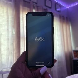 iphone 12 mini