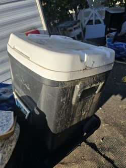 Igloo Cooler