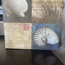 Shell Seascape Canvas on Wood Frame