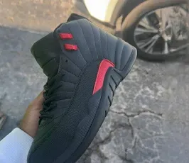 Jordan 12 bloodline
