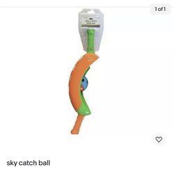 sky catch ball