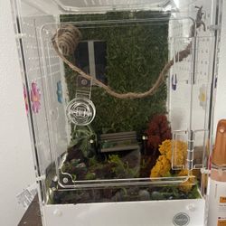 Jumping Spider Enclosure