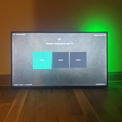 Vizio 55 INCH TV