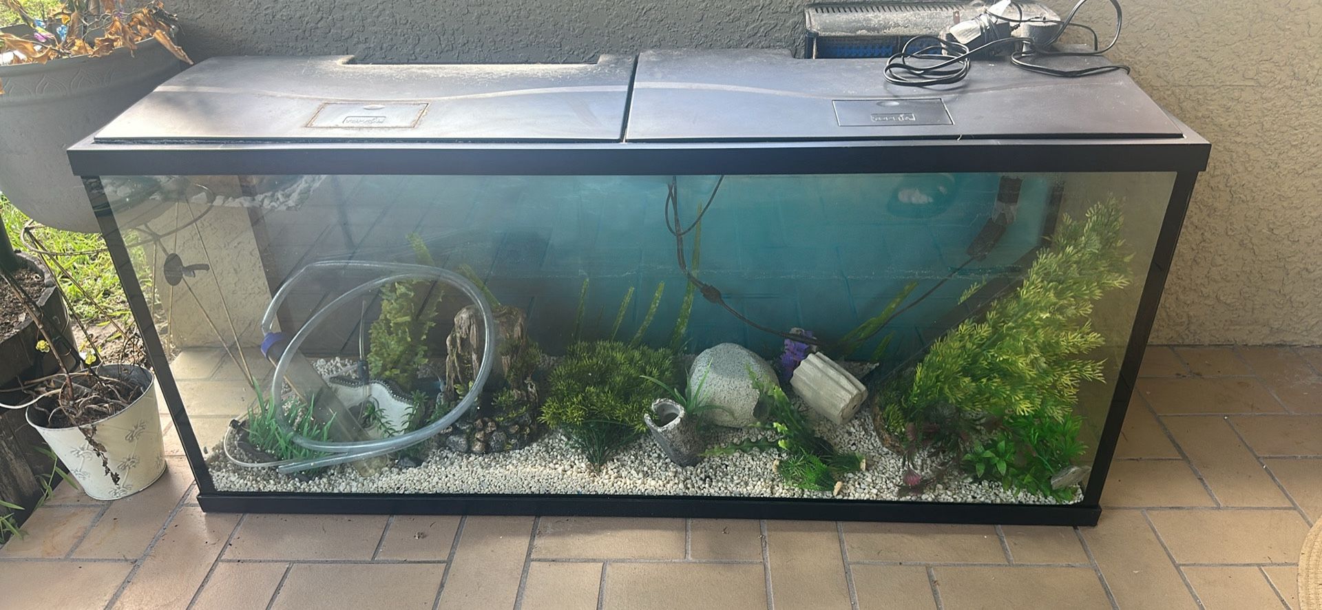 Fish Tank 55 Gallons