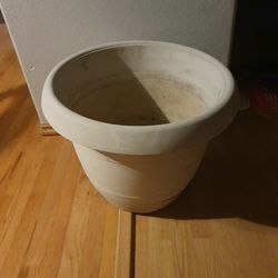 Flower Pot