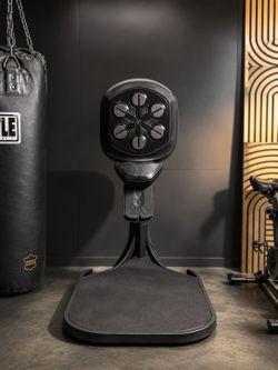Liteboxer Fitness Trainer – Excellent Condition