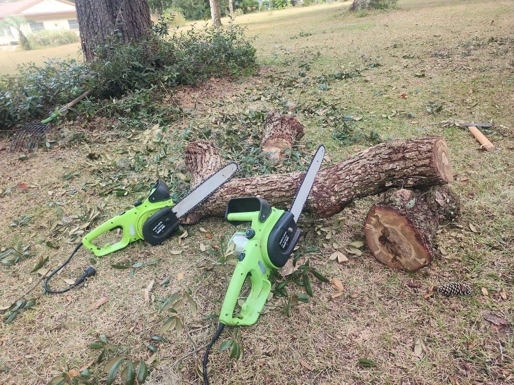 2 ELECTRIC CHAINS SAW $25.each