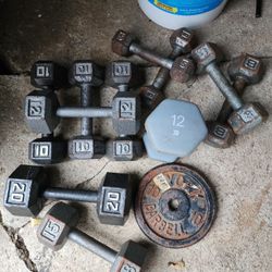 Mixed Dumbbell Lot – 5, 8, 10, 12, 15 & 20 + Plate
