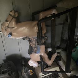 Riding Horse