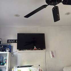 Hisense Smart Tv 43 In 100 $
