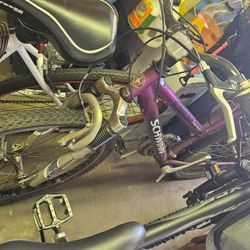 Purple schwinn mountain bike 