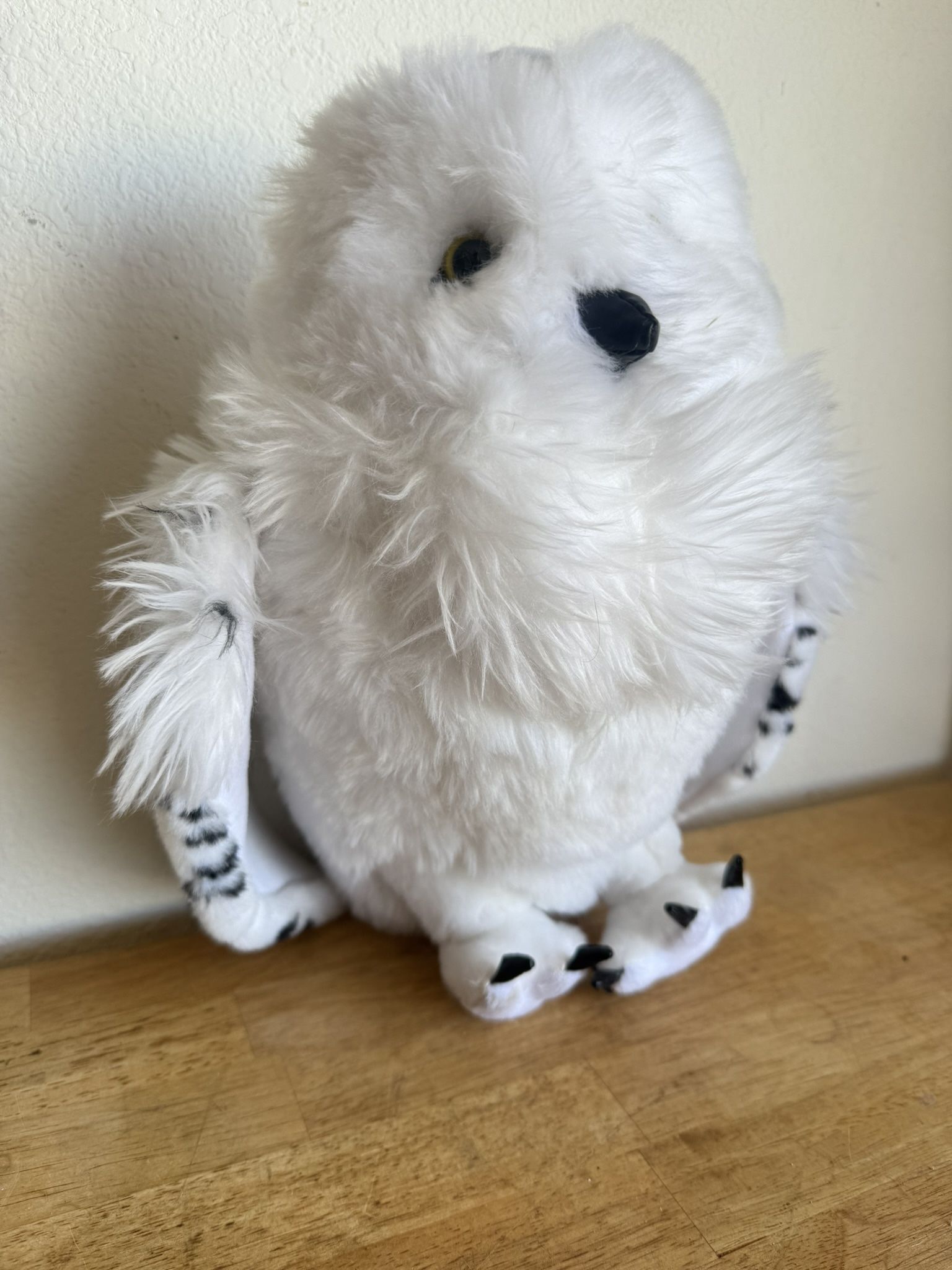 Harry Potter Owl