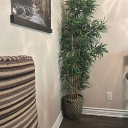 Artificial Plant