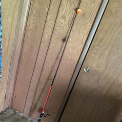 fishing rod with line