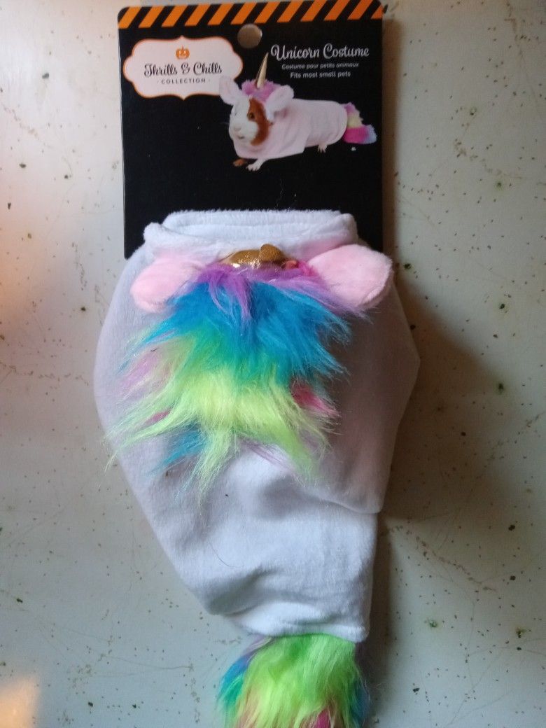 Guinea Pig COSTUMES