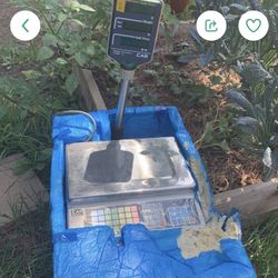 CAS Computerized Scale