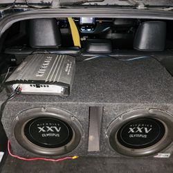 Old School Hifonics xxv Subwoofers 